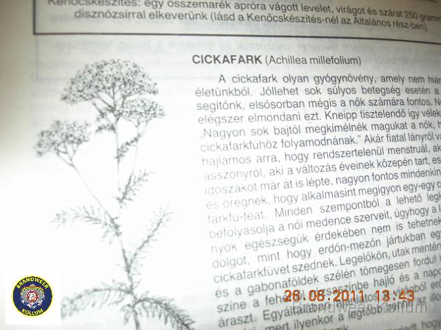 Praid2011-5910.jpg