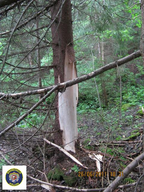 Praid2011-6990.JPG