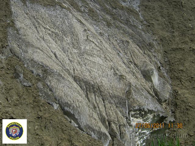 Praid2011-7930.JPG