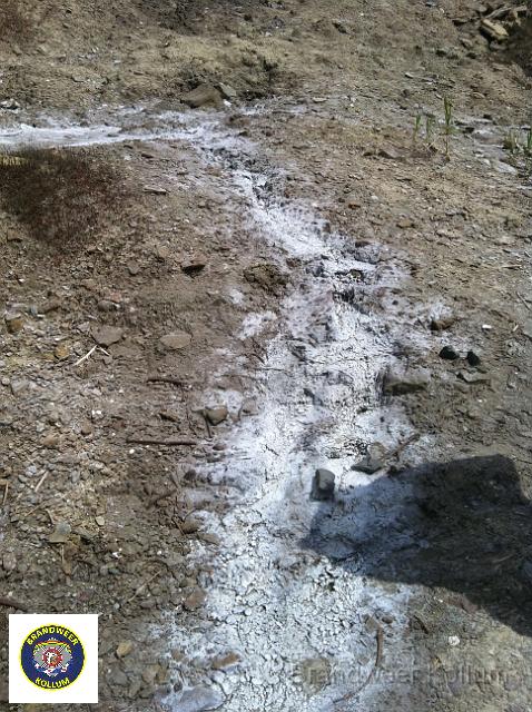 Praid2011-8020.jpg