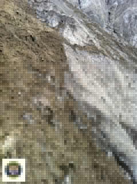 Praid2011-8090.jpg