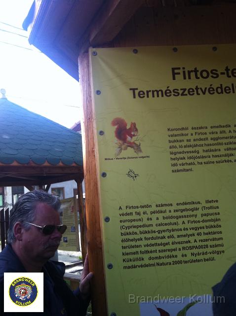 Praid2011-8560.jpg