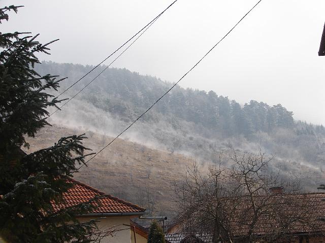 DSC06730.JPG